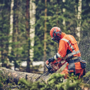 Alternative view of Husqvarna 560 XP® Mark II / 45 – Modell 2025