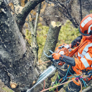 Alternative view of Husqvarna 560 XP® G Mark II / 45