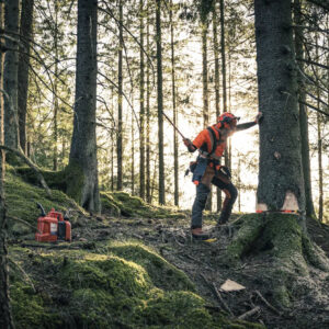 Alternative view of Husqvarna 572 XP G / 50 – X-Torq